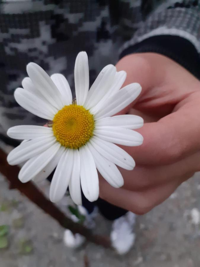 Appartamento Signorile Con Giardino Аоста Екстериор снимка